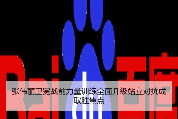 张伟丽卫冕战前力量训练全面升级站立对抗成取胜焦点